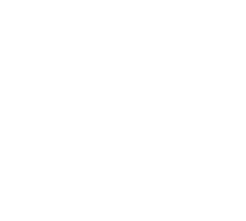 Logo in Weiß auf Transparent